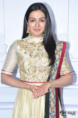 Gopichand And Sampath Nandi New Movie Opening